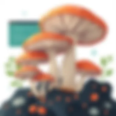 Magnificent Exploring Paul Stamets and the Fascinating World of Reishi Mushrooms Magnificent Exploring Paul Stamets and the Fascinating World of Reishi Mushrooms