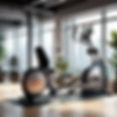 Decoding Fitness Terminology Understanding gym equipment and exercises