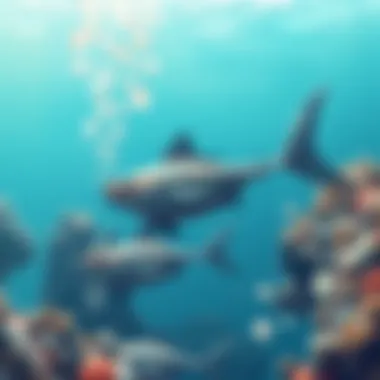 Impact of pollution on marine life Marine animal affected by pollution