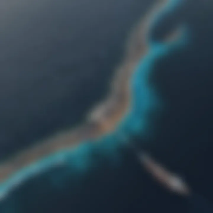 Aerial view of the vast expanse of the Pacific Garbage Patch