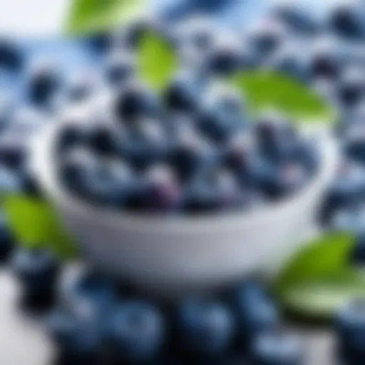 A bowl of vibrant blueberries