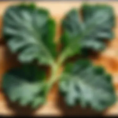 Fresh kale leaves on a wooden cutting board