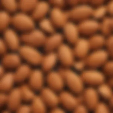 Nutty Almonds for Healthy Fats Crunchy Almonds Rich in Healthy Fats