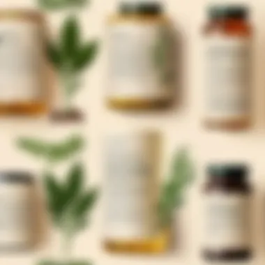 Herbal Remedies Through the Ages Ancient manuscript on herbal remedies