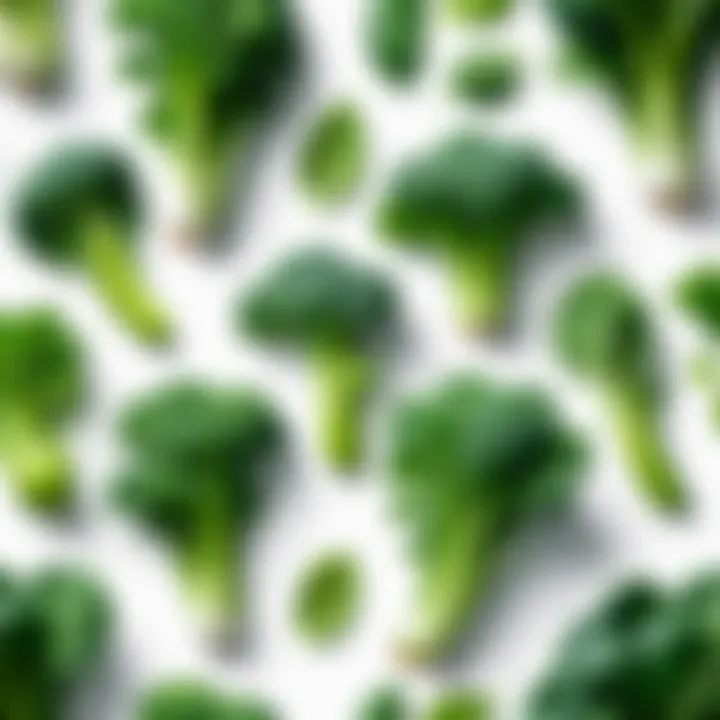 Fresh green vegetables on a white background