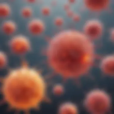 Inflammatory Response in Autoimmunity Illustration depicting inflammation in autoimmune disease