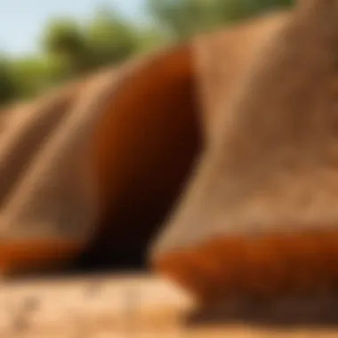 An innovative structure inspired by termite mounds for passive cooling