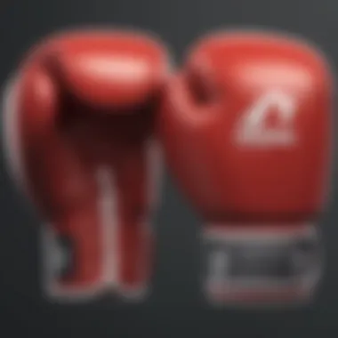 Quality Craftsmanship in Boxing Gloves