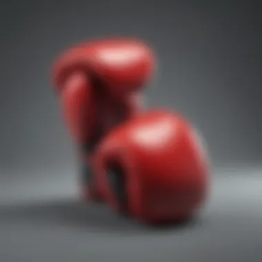 Durable Materials in Boxing Gloves