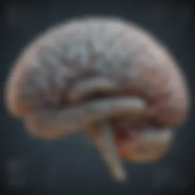 Charting the Unexplored Territories of the Mind Brain Cartography