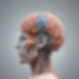 Neurological Complexity Unveiled Illustration depicting brain structure