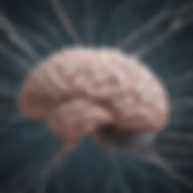 Unraveling the Intricacies of Brain Synapses Brain synapses illustration