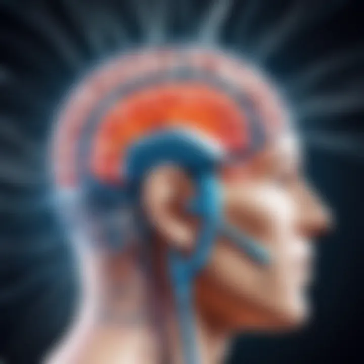 Illustration depicting the brain with magnetic fields highlighting the areas targeted by TMS treatment.