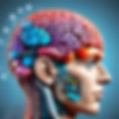 Cognitive Processes: The Impact of Brain Lateralization Graphical representation of cognitive processes linked to brain lateralization