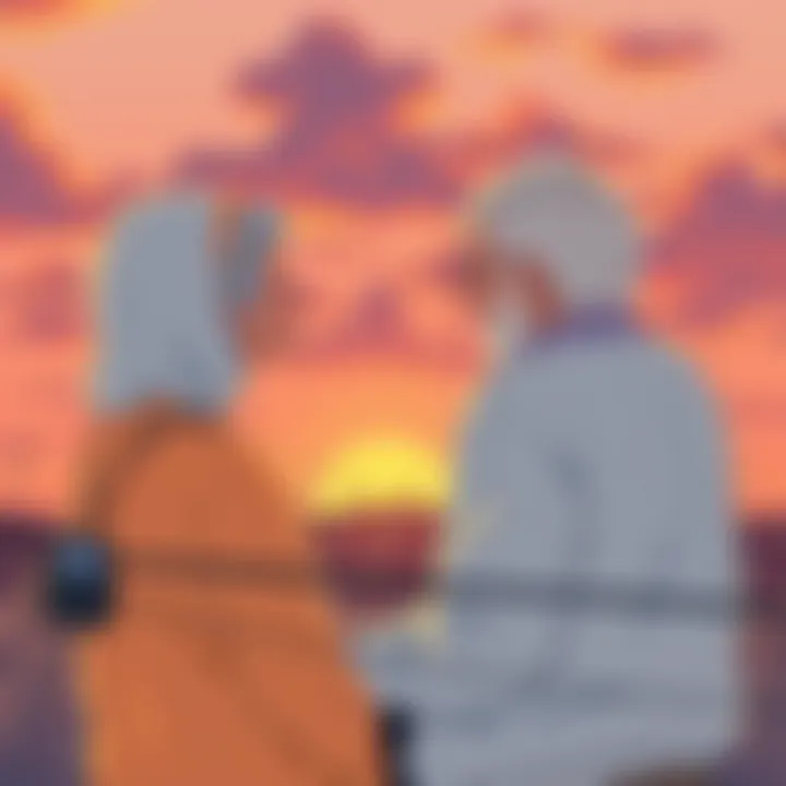 An elderly couple enjoying a sunset