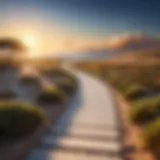 A serene pathway leading towards a bright horizon symbolizing career aspirations
