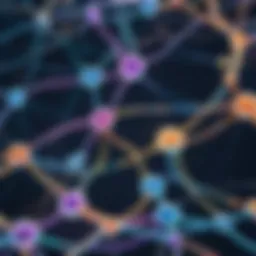 Neurotransmitter pathways illustrating the brain's reward system