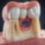 Microscopic view of dental plaque accumulation