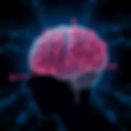 Brain showcasing memory pathways and connections