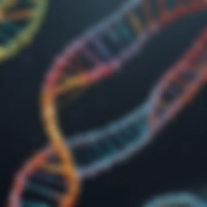 DNA Helix Exploration