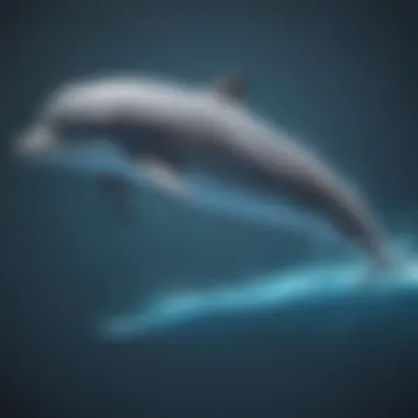 Dolphin Communication through Sonar Waves