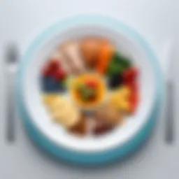 Visual representation of balanced meal components