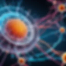 Illustration of sirtuins in cellular function