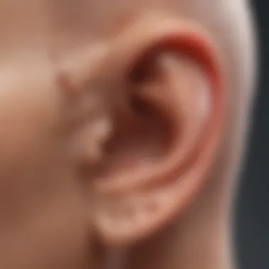 Ear anatomy affected by loud music