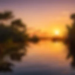 Majestic Everglades Sunset