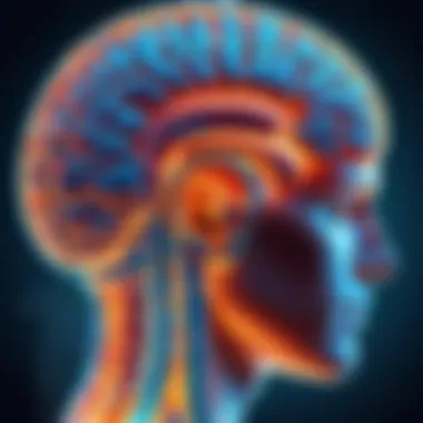 Brain imaging highlighting ADHD-affected areas