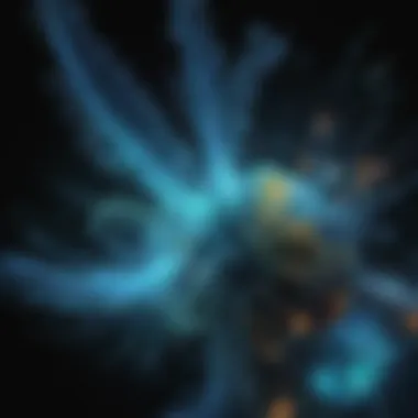 Mesmerizing Bioluminescent Display Mesmerizing Bioluminescent Display