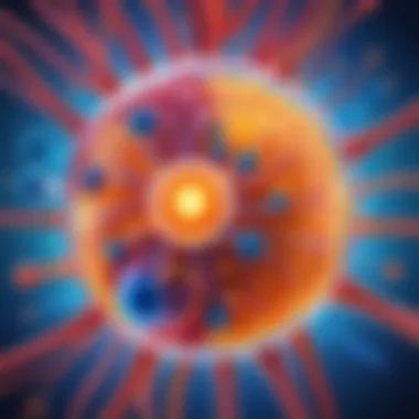 Immune System and Overall Health Artistic interpretation of immune system maintaining overall health