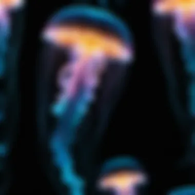 Bioluminescent Jellyfish in the Abyssal Ocean Deep-sea bioluminescent jellyfish floating in darkness
