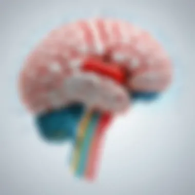 Visualizing consumer brain activity