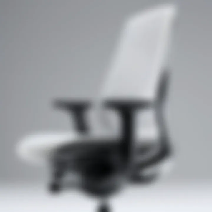 Close-up of ergonomic design features of the Niels Diffrient chair