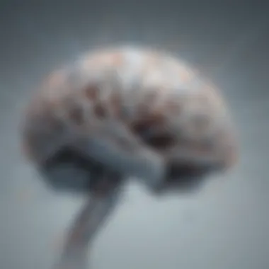 Neural Connections in the Brain Related to Gratitude Abstract representation of neural connections in brain related to gratitude