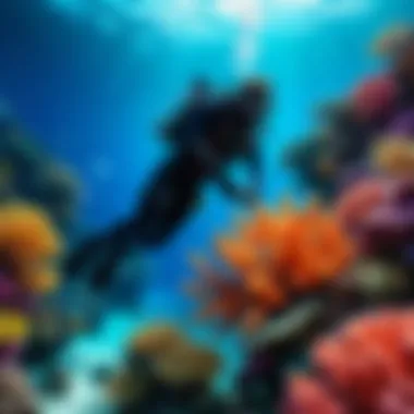 Coral Reef Exploration A diver exploring a vibrant coral reef