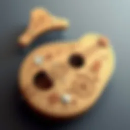 Intricate design of a hurdy gurdy showcasing its craftsmanship