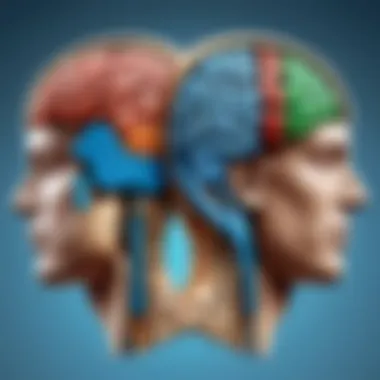 The Distinct Roles of Left and Right Brain Hemispheres Illustration of brain hemispheres showcasing left and right functions