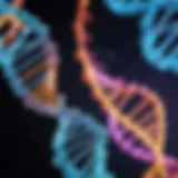 Illustration of DNA methylation patterns