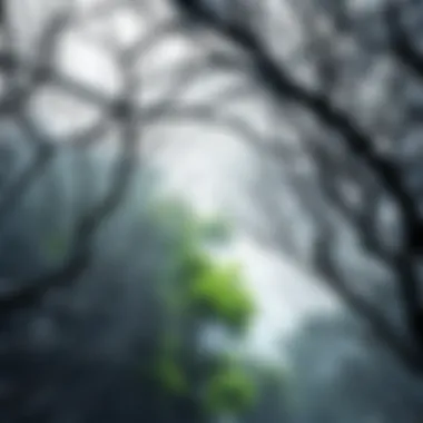 Illustration of interconnected tree branches forming a communication network