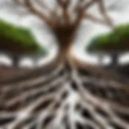 Illustration of an intricate network of tree roots underground