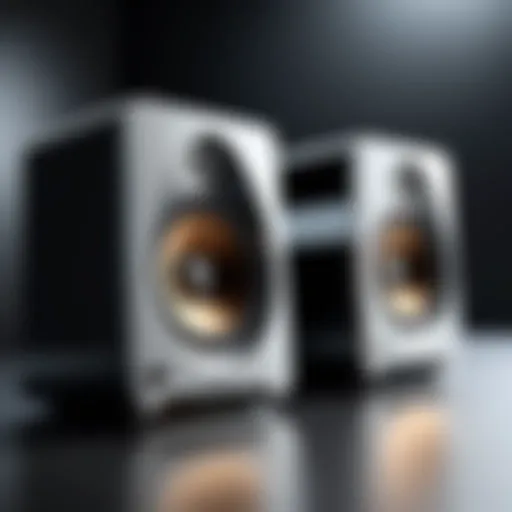 Innovative design of Aaron Speakers highlighting their modern aesthetics