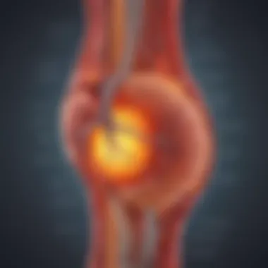 The Inflammation Orchestra Inflammatory Pathways Activation
