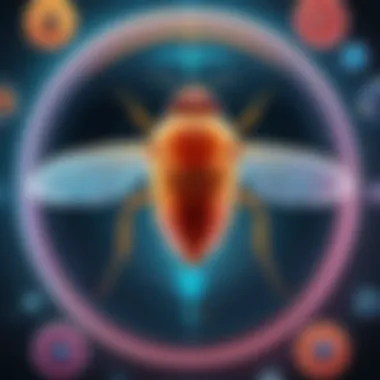 Reproductive Cycle Insight Illustration showcasing a fly's intricate reproductive cycle