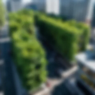 Innovative Urban Foliage Solutions Foliage in urban setting