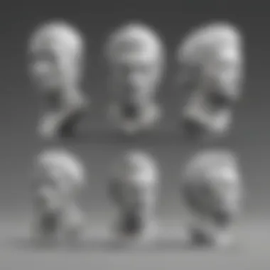Sculpture Evolution Evolution of Sculpture