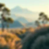 The Beauty of Minimalism A serene landscape highlighting the beauty of minimalism