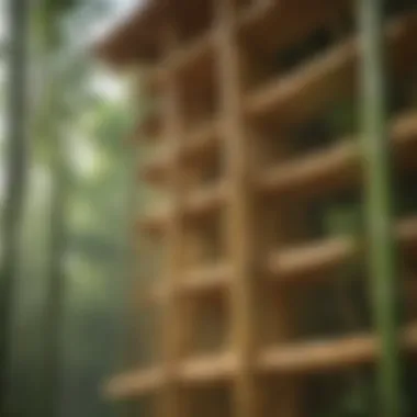 Innovative Bamboo in Sustainable Architecture Bamboo used in modern sustainable architecture