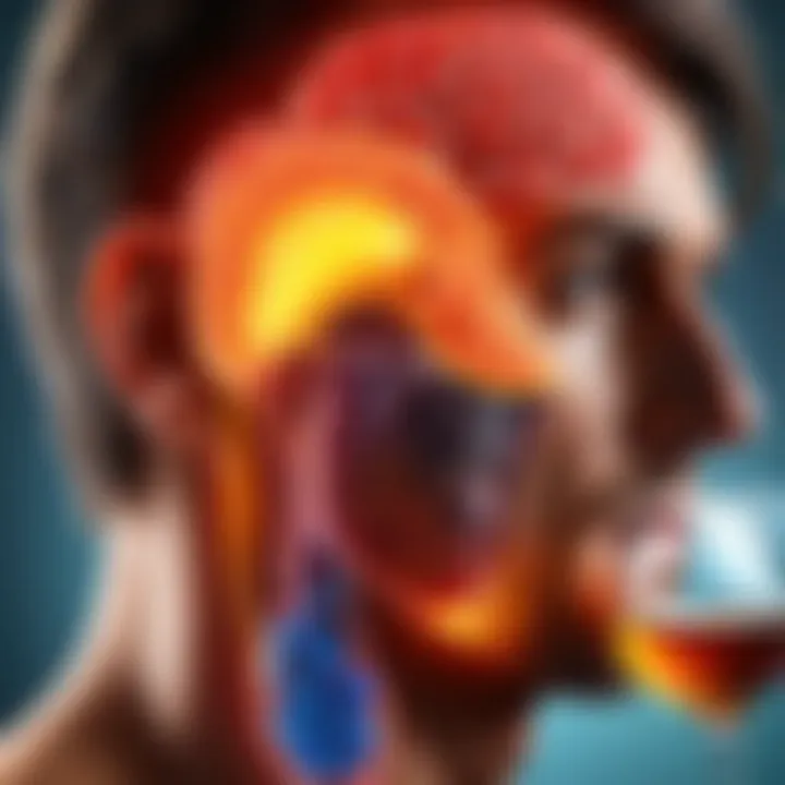 Complex illustration showing hormonal imbalance caused by alcohol leading to ED